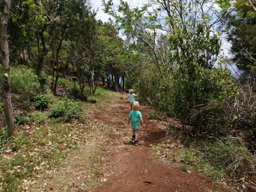 Sentier du cap bernard à la Réunion